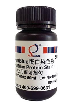 FastBlue蛋白染色液 試用裝