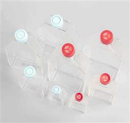 25cm2培養(yǎng)瓶 濾膜蓋