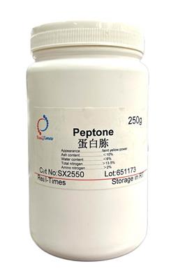Peptone 蛋白胨