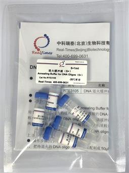 退火緩沖液（5×）